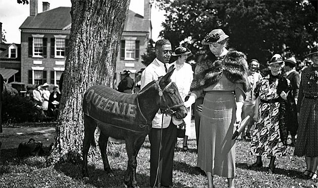 Eleanor Roosevelt z maskotką partii demokratycznej - osłem.