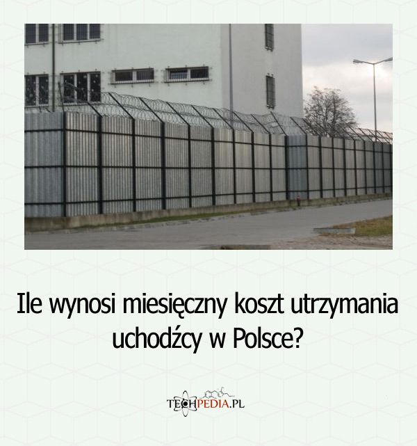 Ile wynosi miesięczny koszt utrzymania uchodźcy w Polsce?