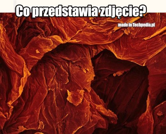 Co jest na zdjęciu?