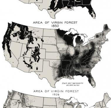 Wylesianie Stanów Zjednoczonych, 1600, 1620, 1850, 1926