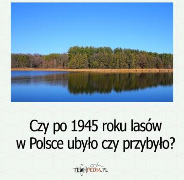 Czy po 1945 roku lasów w Polsce ubyło czy przybyło?