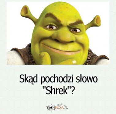 Skąd pochodzi słowo "Shrek"?