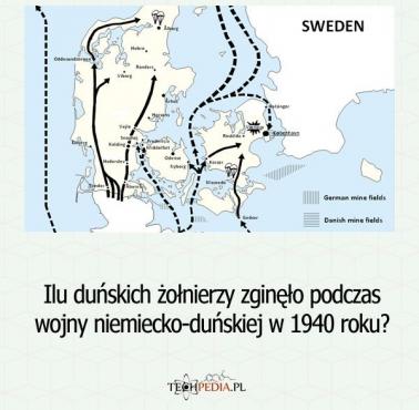 Ilu duńskich żołnierzy zginęło podczas wojny niemiecko-duńskiej w 1940 roku?