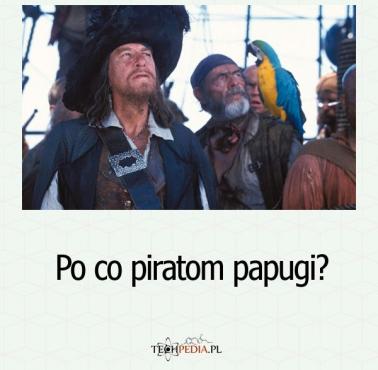 Po co piratom papugi?