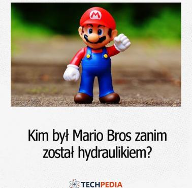 Kim był Mario Bros zanim został hydraulikiem?