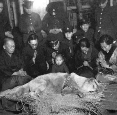 Japończycy opłakują śmierć psa Hachikō (Tokio, Japonia).