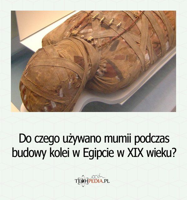 Do czego używano mumii podczas budowy kolei w Egipcie w XIX wieku?