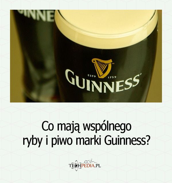 Co mają wspólnego ryby i piwo marki Guinness?