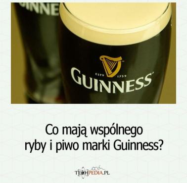 Co mają wspólnego ryby i piwo marki Guinness?