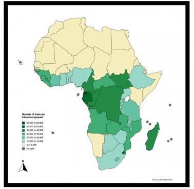 Liczba drzew na kilometr kwadratowy w Afryce. Zalesienie (lesistość) Afryki