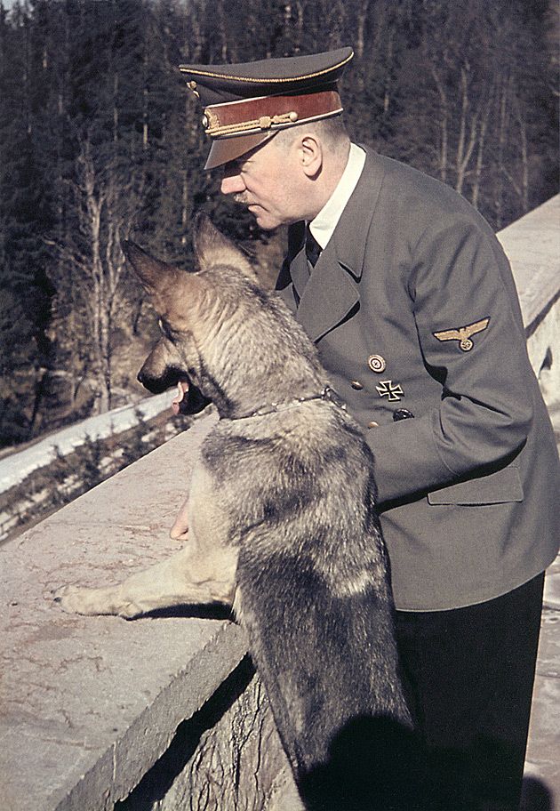 Adolf Hitler z suką Blondi (rezydencja Berghof)