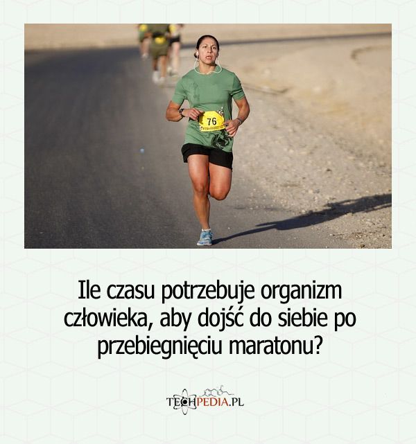 Ile czasu potrzebuje organizm człowieka, aby dojść do siebie po przebiegnięciu maratonu?
