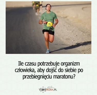 Ile czasu potrzebuje organizm człowieka, aby dojść do siebie po przebiegnięciu maratonu?