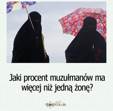 Jaki procent muzułmanów ma więcej niż jedną żonę?