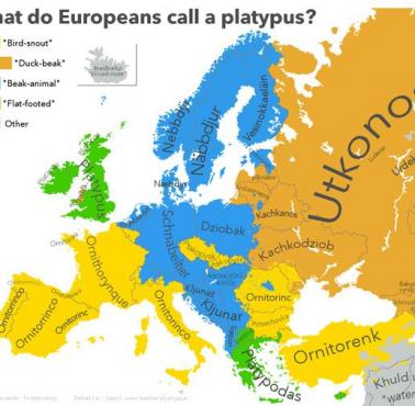 Dziobak w różnych europejskich językach.